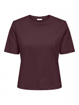 Jacqueline - jdyRex SS Top