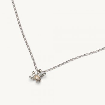 Lily & Rose - Petite Eponine Necklace